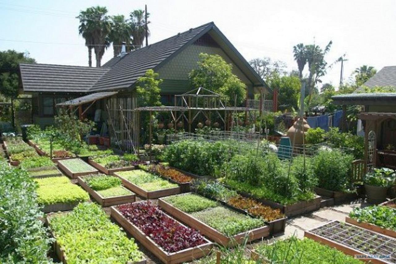 Bio-Garten und Permakultur