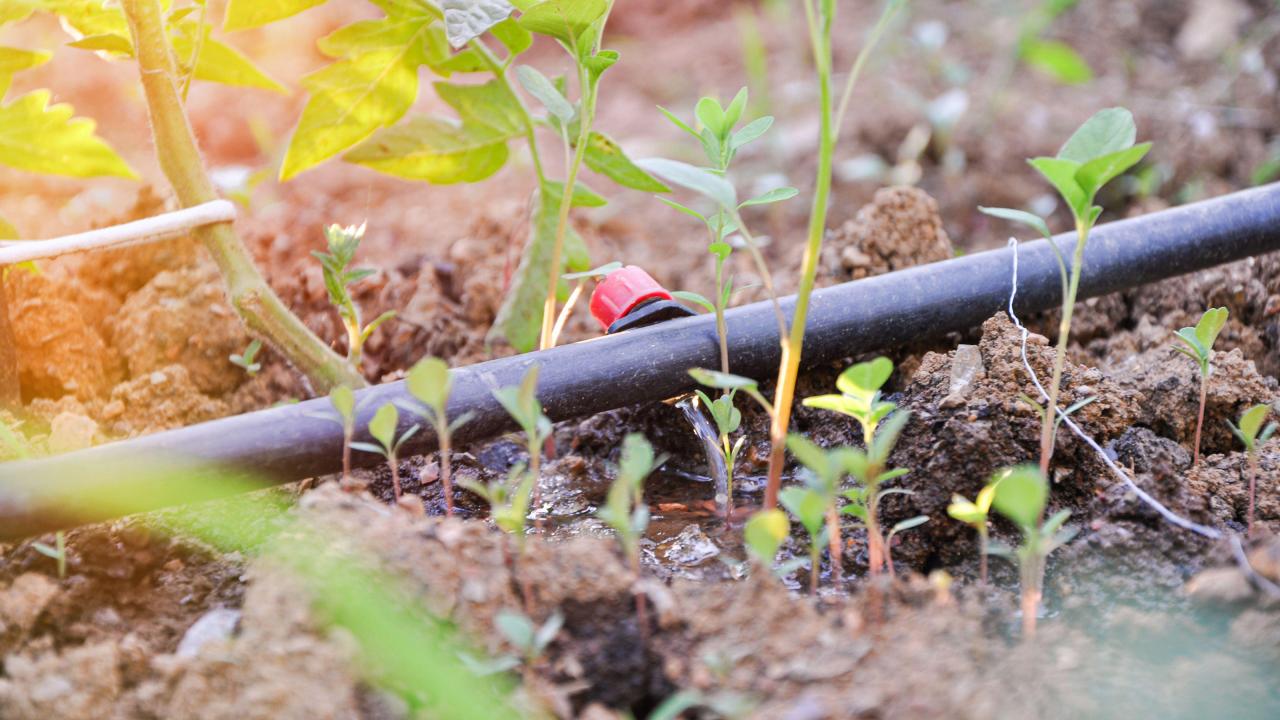 Irrigation water system drip africa reservoir simple self bucket made pipes bamboo standish biovision infonet 2009 2010 hoses plastic sswm