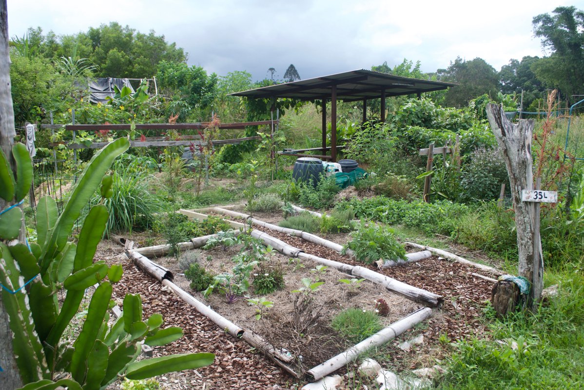 Bio-Garten und Permakultur